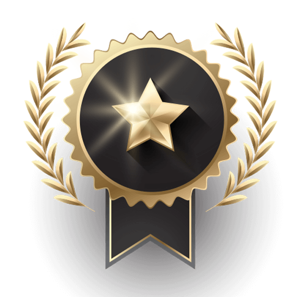 Certified finance and accounting professionals badge